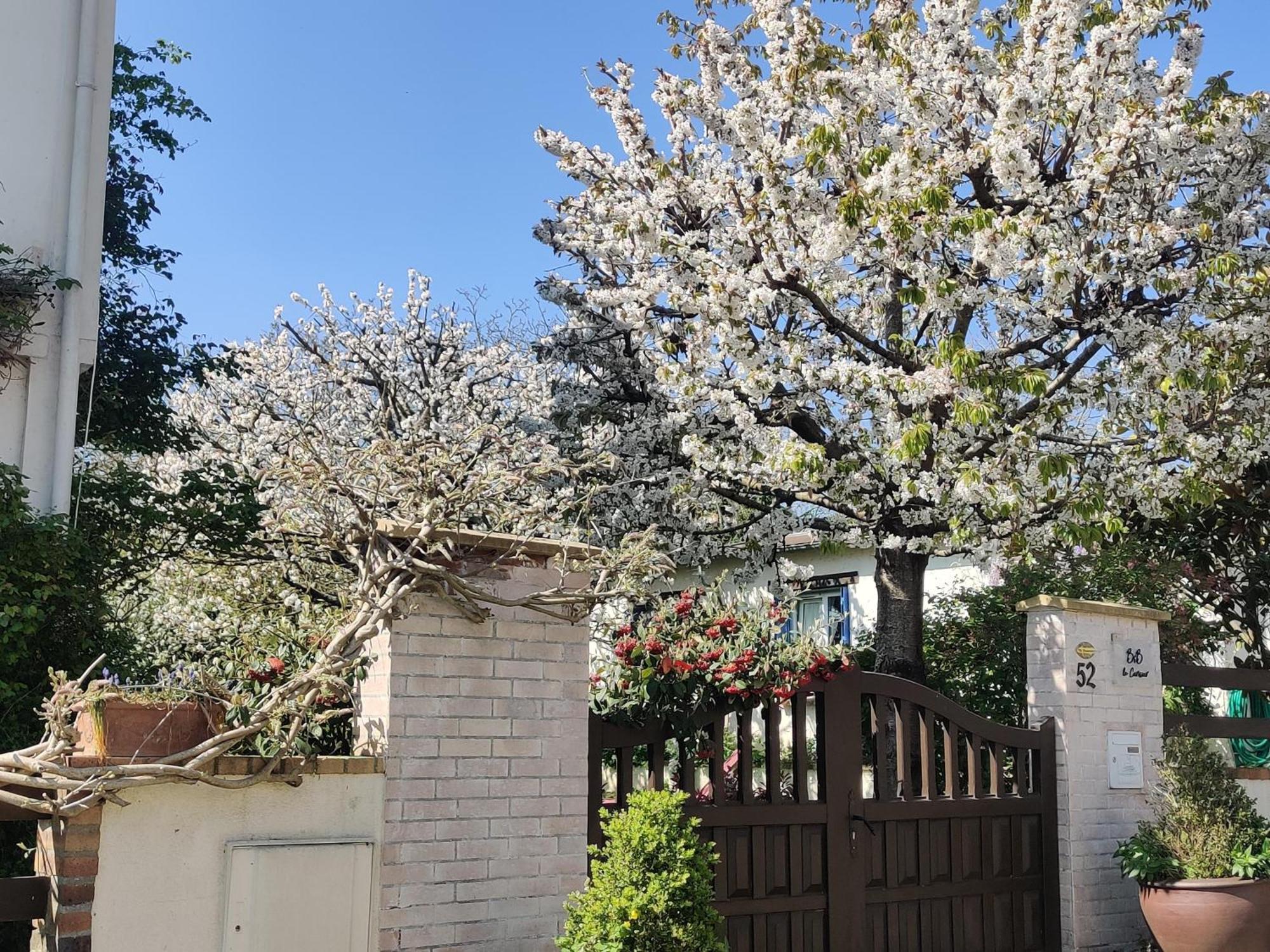 Bed and Breakfast Le Cerisier Mareil-Marly Esterno foto